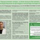 При зголемена простата, Зелениот ласер максимално и целосно ве поштедува и лекува. Во Хил Клиник